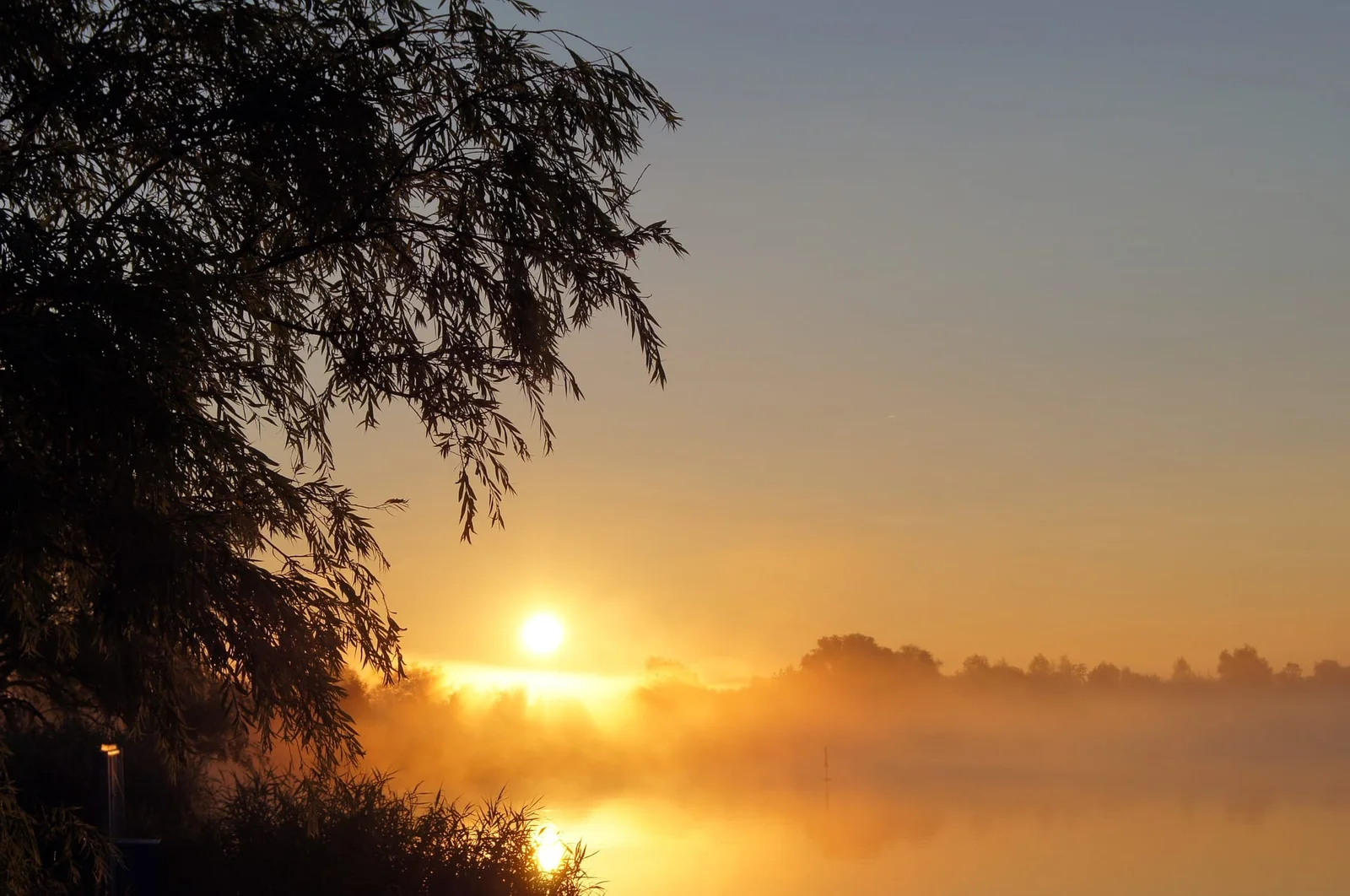 Morning sun rising through mist over a calm lake, framed by willow branches