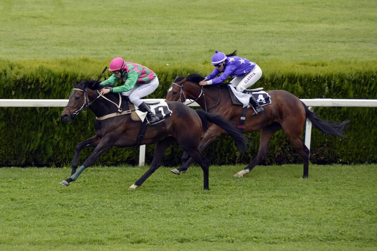 horse-racing-1577292_1280