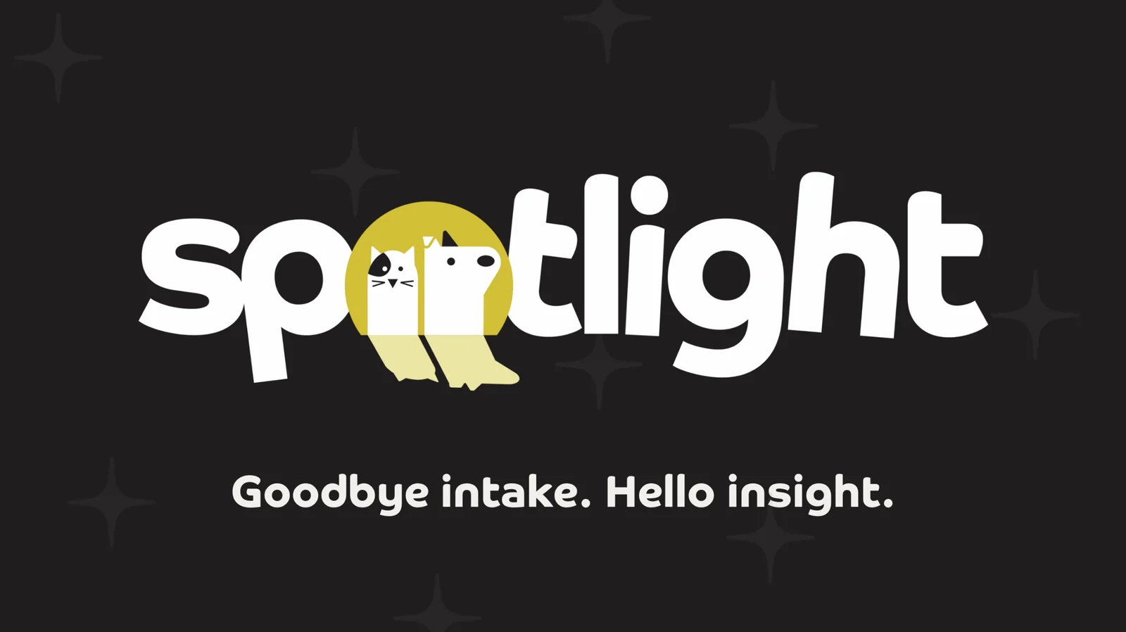 The word "spotlight" is written in bold white letters on a dark background, with the "o" depicted as a yellow spotlight featuring cartoon cat and dog faces. Text below reads, "Goodbye intake. Hello insight.