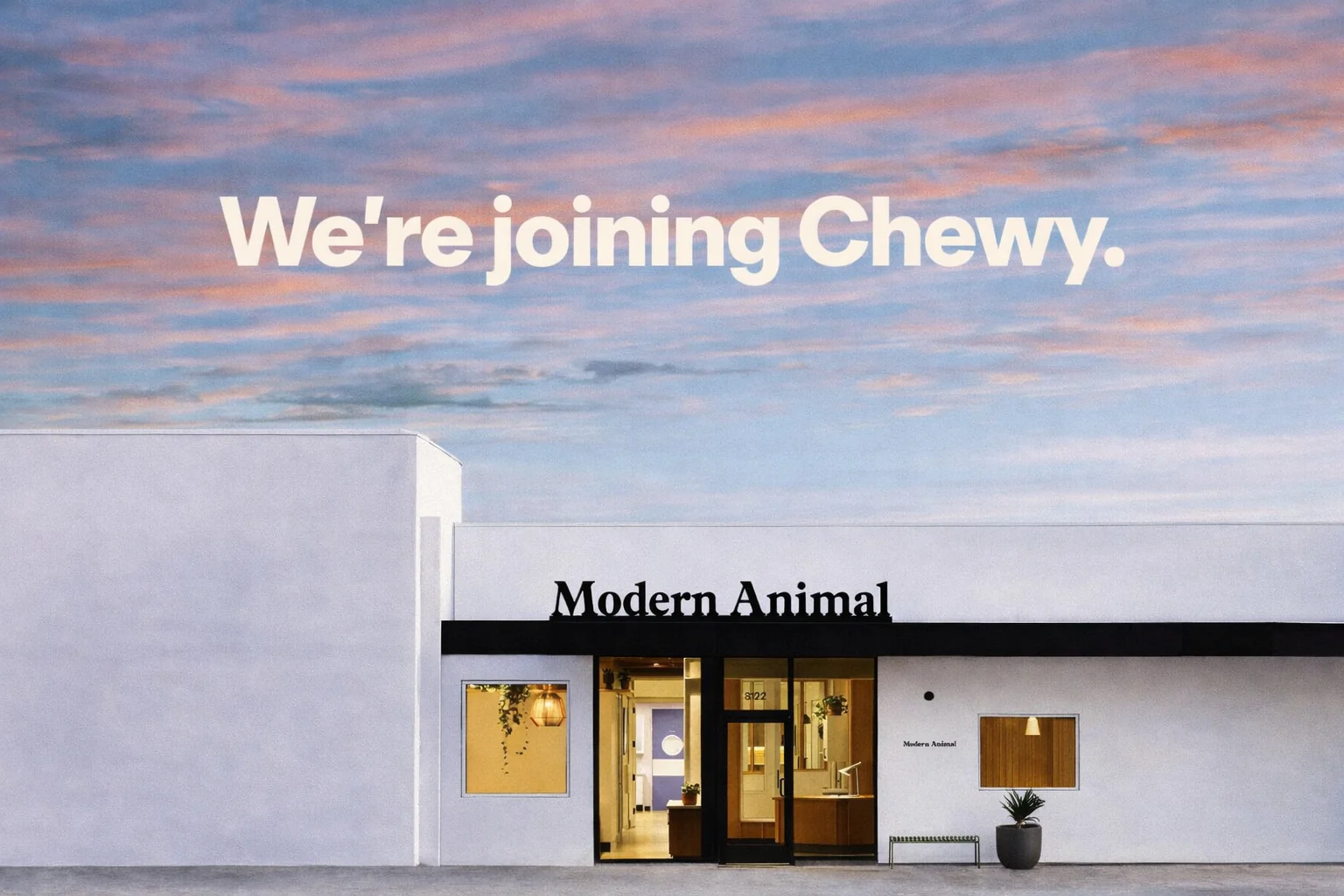 A 'Modern Animal' veterinary clinic with 'We're joining Chewy' text above it against a sunset sky.