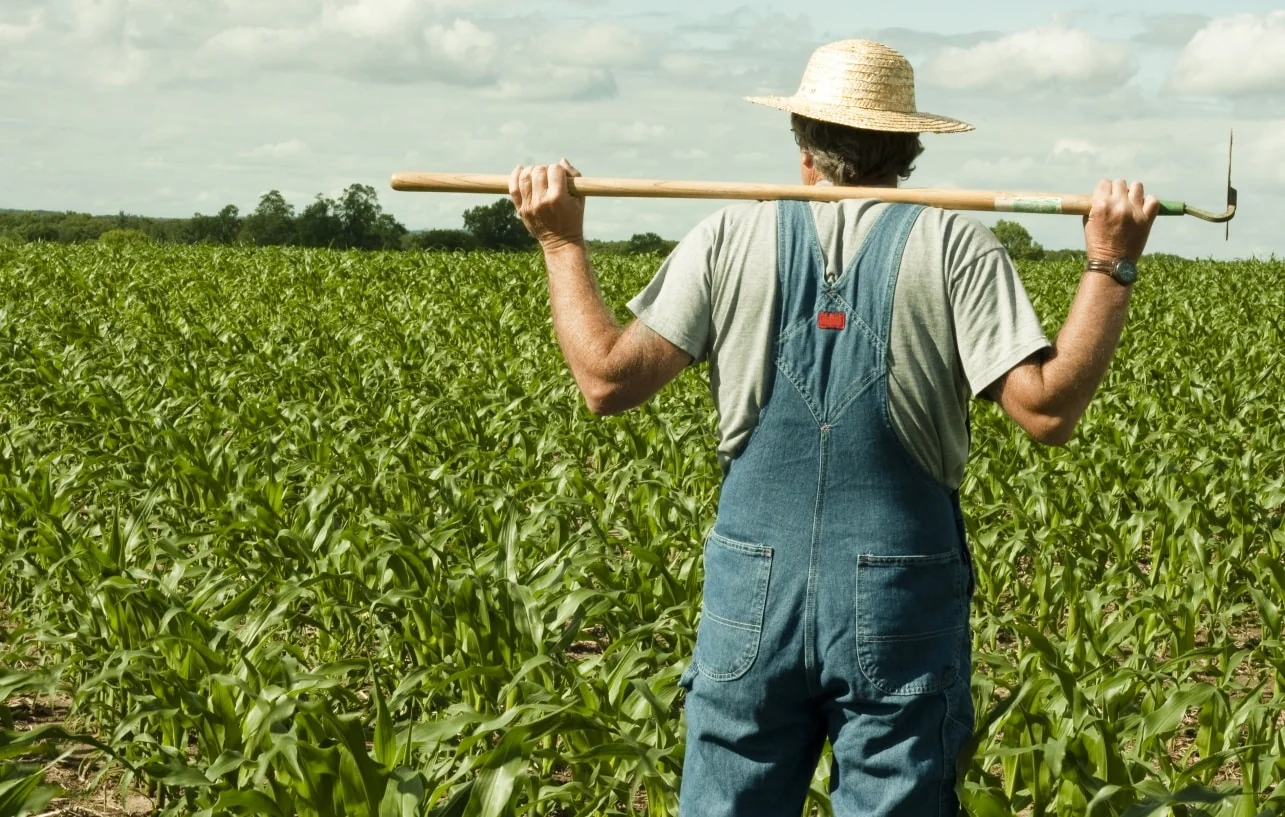 farmer-19050
