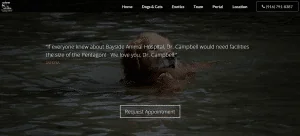 blogtesti