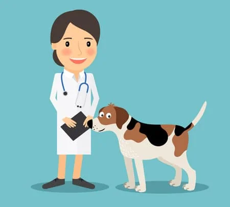 Cartoon veterinarian holding a clipboard beside a friendly beagle-type dog
