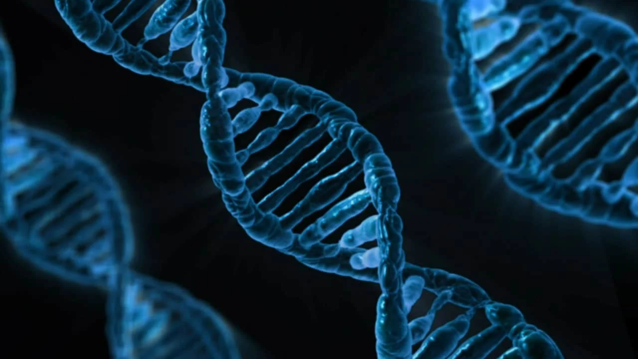 dna-163466_1280 (1)