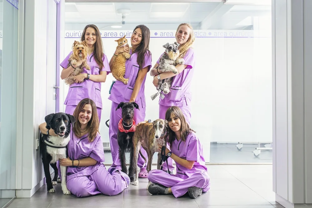Veterinary team of five in lavender scrubs posing in a clinic hallway with dogs and a cat