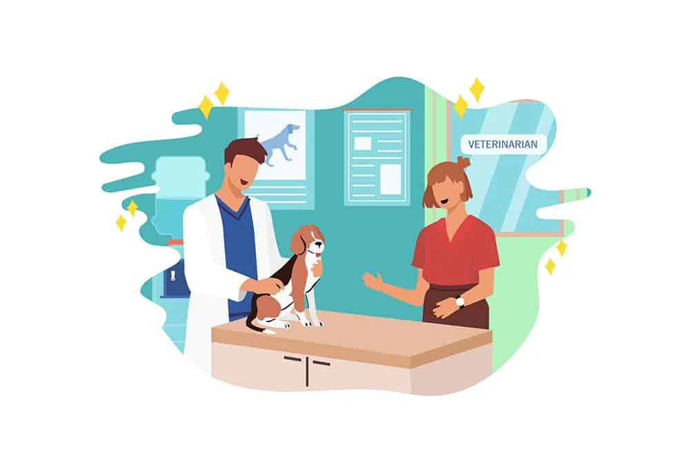 Illustration of a veterinarian examining a beagle on an exam table while the owner talks with him