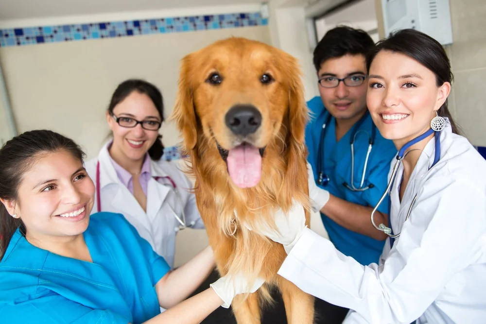 Smiling veterinary team in scrubs and white coats gathered around a happy golden retriever
