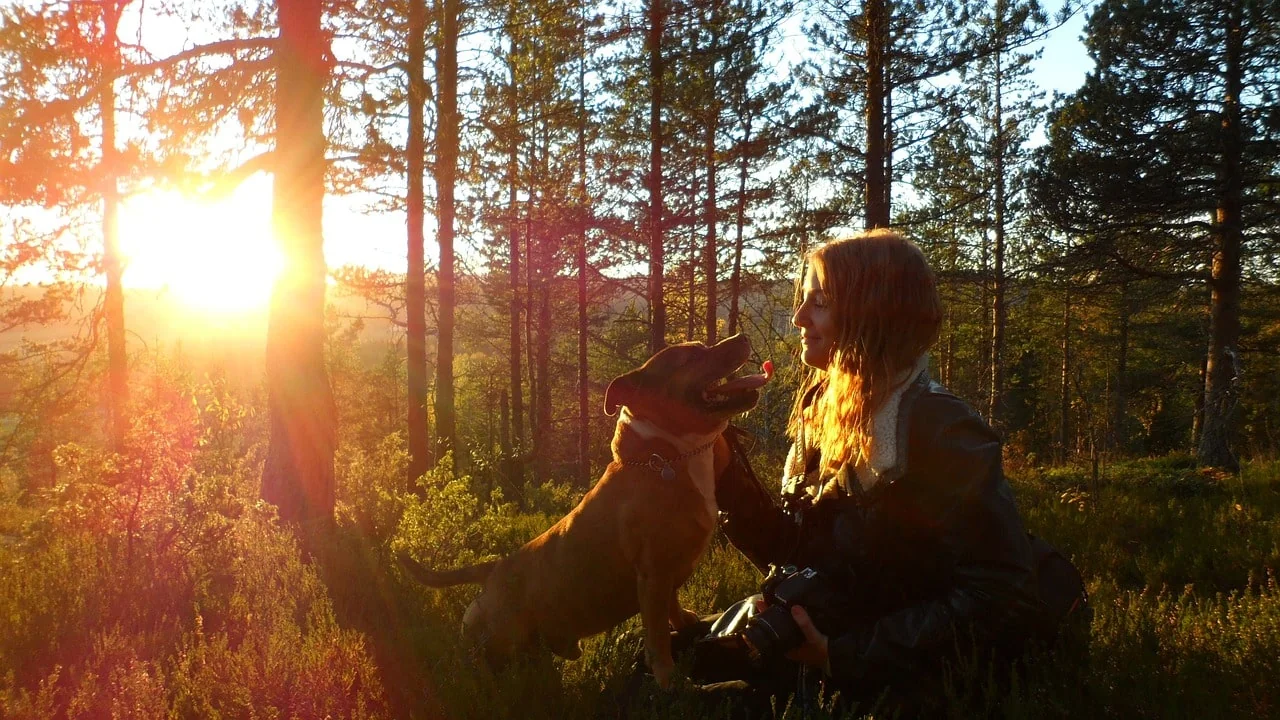 walking-the-dog-273526_1280