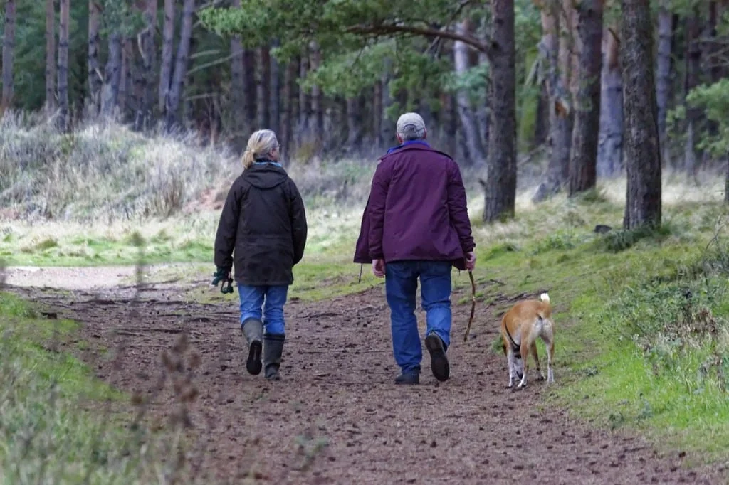 Couple walking a tan dog on a leash along a woodland path
